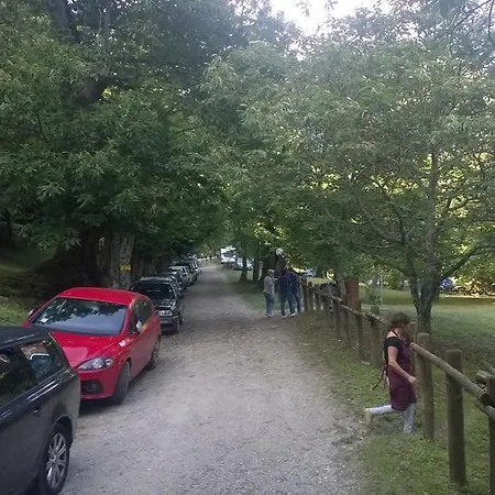 Camping Camaldoli Camaldoli