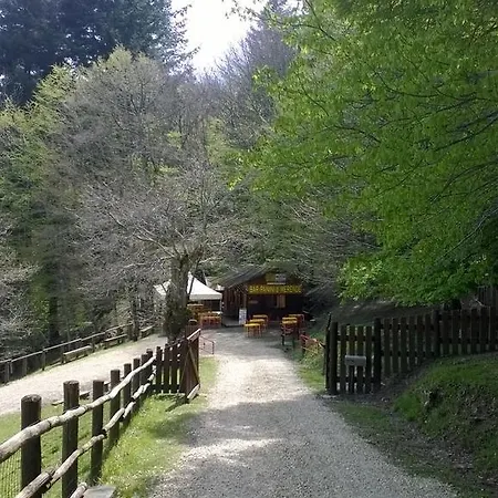 Camping Camaldoli Campingplatz