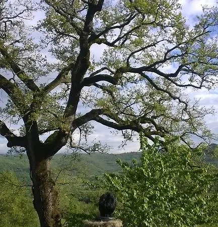 Camping Camaldoli Campingplatz